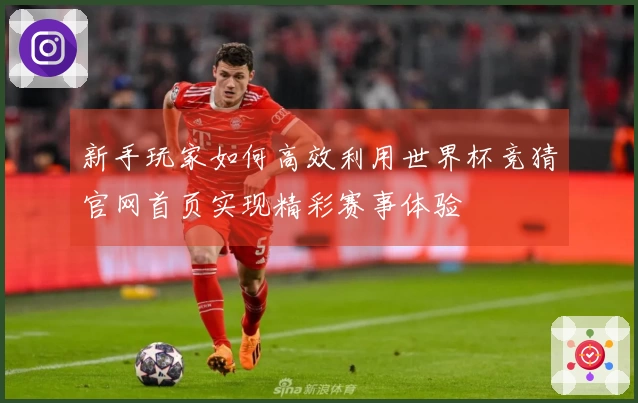 新手玩家如何高效利用世界杯竞猜官网首页实现精彩赛事体验