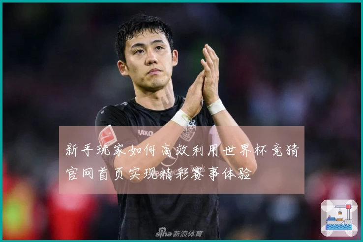 新手玩家如何高效利用世界杯竞猜官网首页实现精彩赛事体验